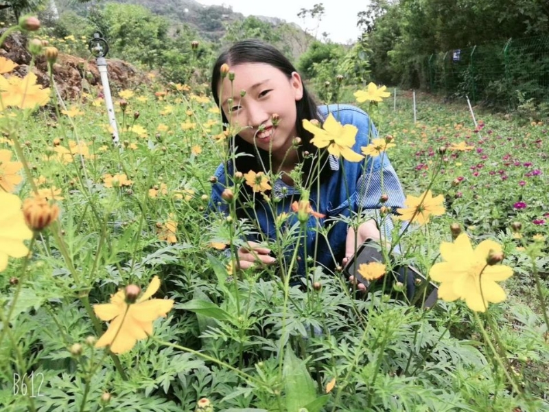哈哈的第一张照片--巧家王婆说媒